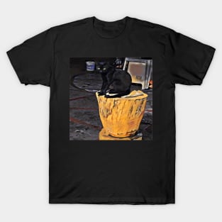 CAT BLACK T-Shirt